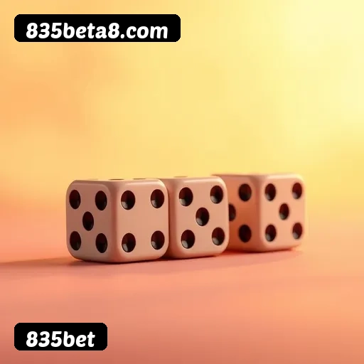 Guia visual quadrado da instalação APK 835bet